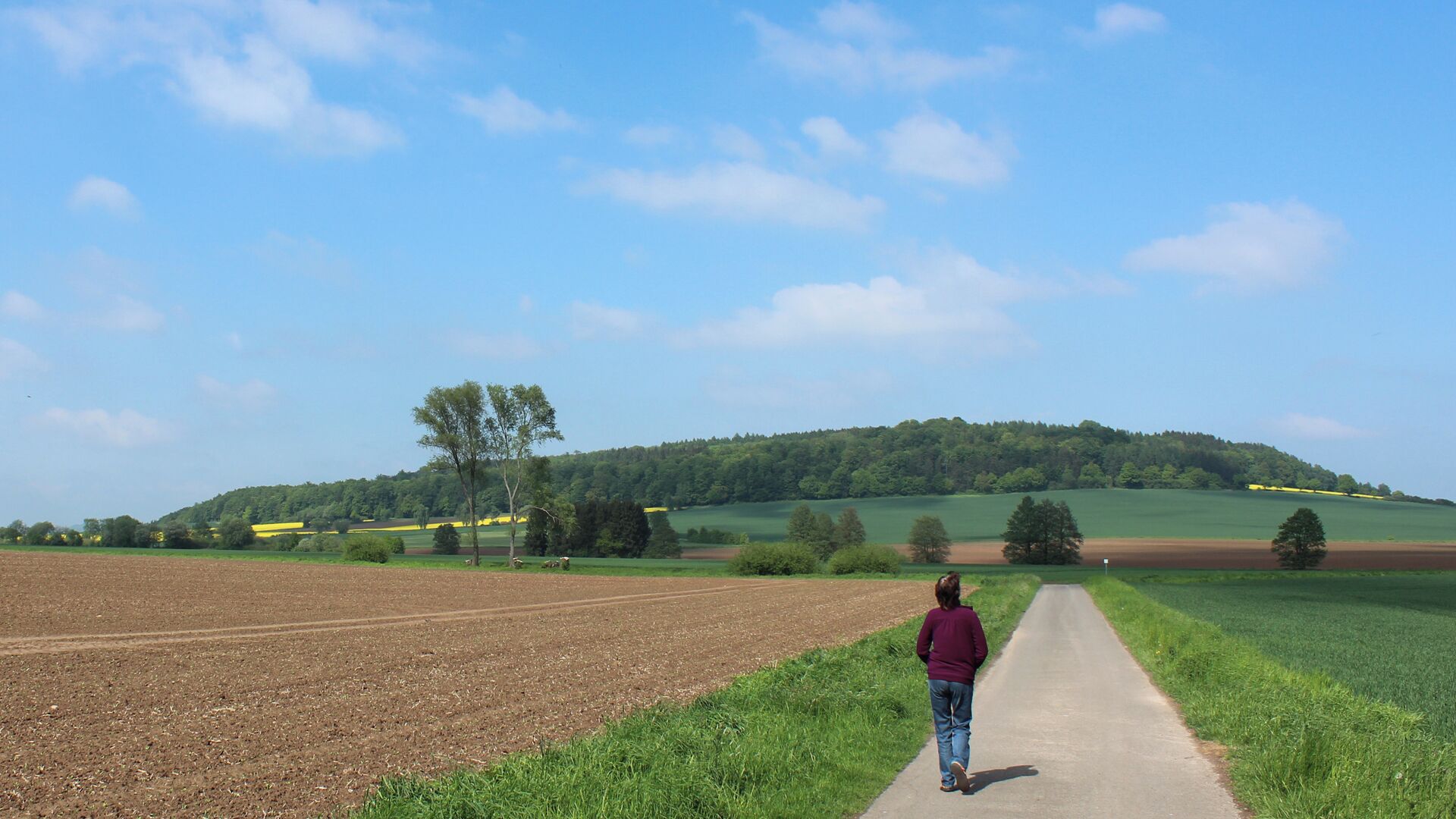 Backenberg at Güntersen, Naturpark Muenden, Lower Saxony, Germany