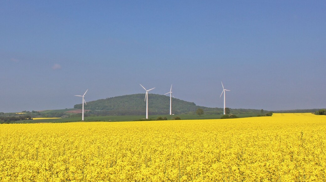 Ossenberg at Barterode, Naturpark Muenden, Lower Saxony, Germany