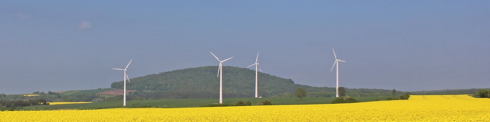 Ossenberg at Barterode, Naturpark Muenden, Lower Saxony, Germany