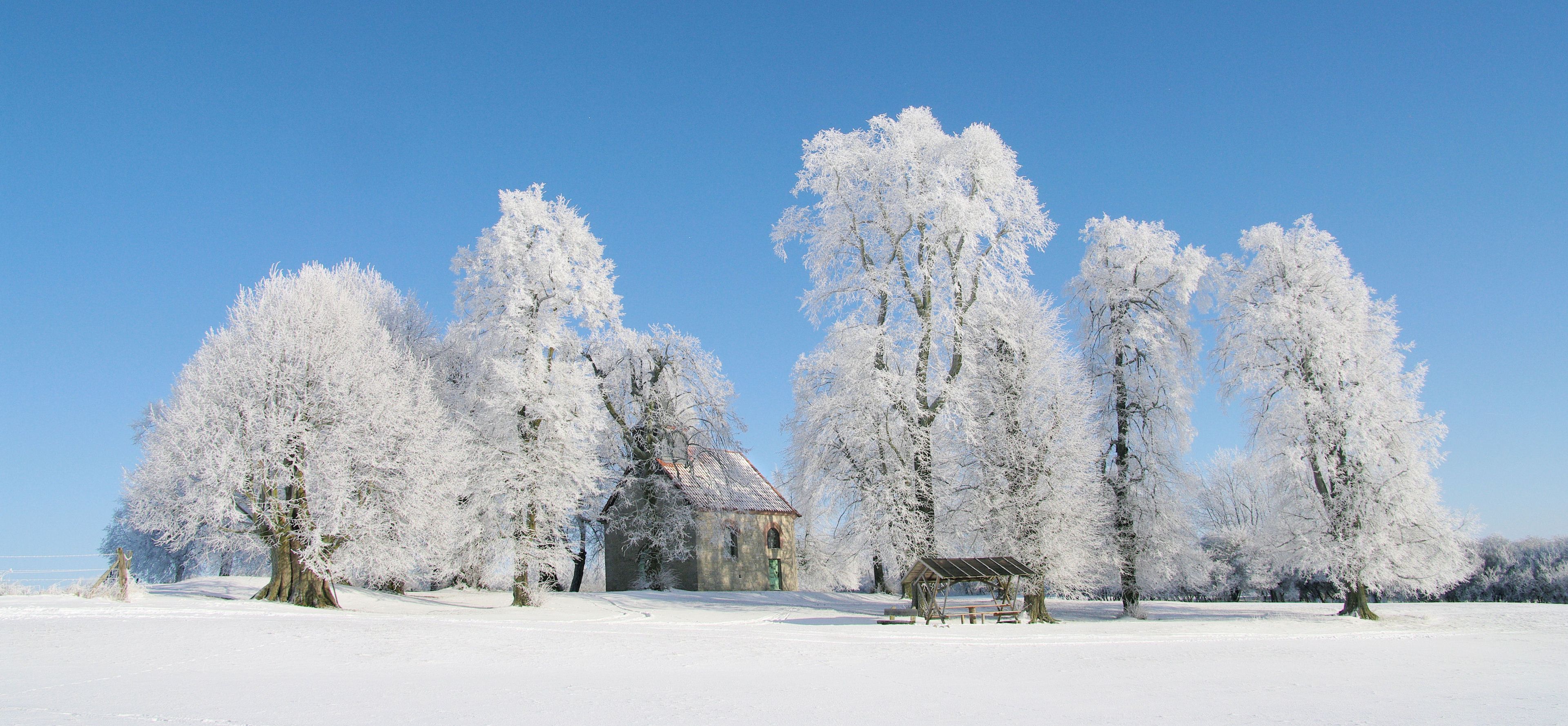 Un paysage enneigé avec une maison traditionnelle et plusieurs arbres.