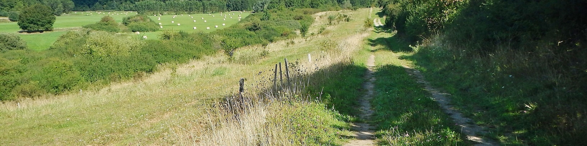 An der ehemaligen innerdeutschen Grenze in der Nähe vom Mechower Holz