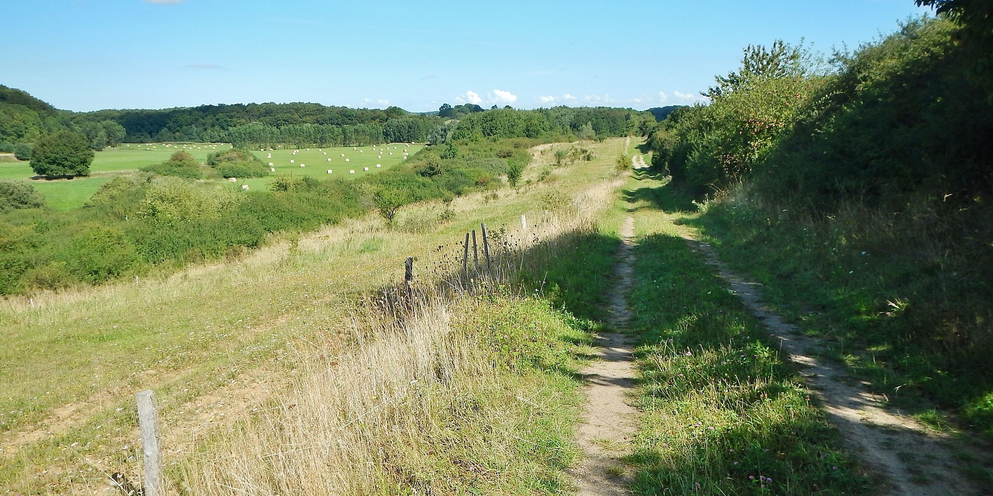 A rural landscape with a dirt path, green fields, and scattered trees.