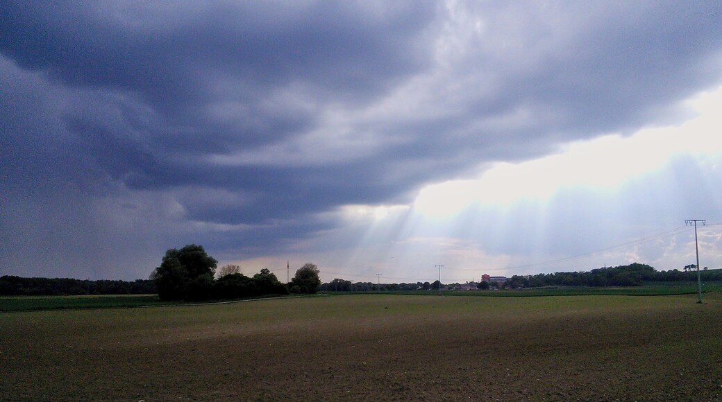 East of Bertoldsheim. Bavaria, Germany. In the background SchloĂ Bertoldsheim.