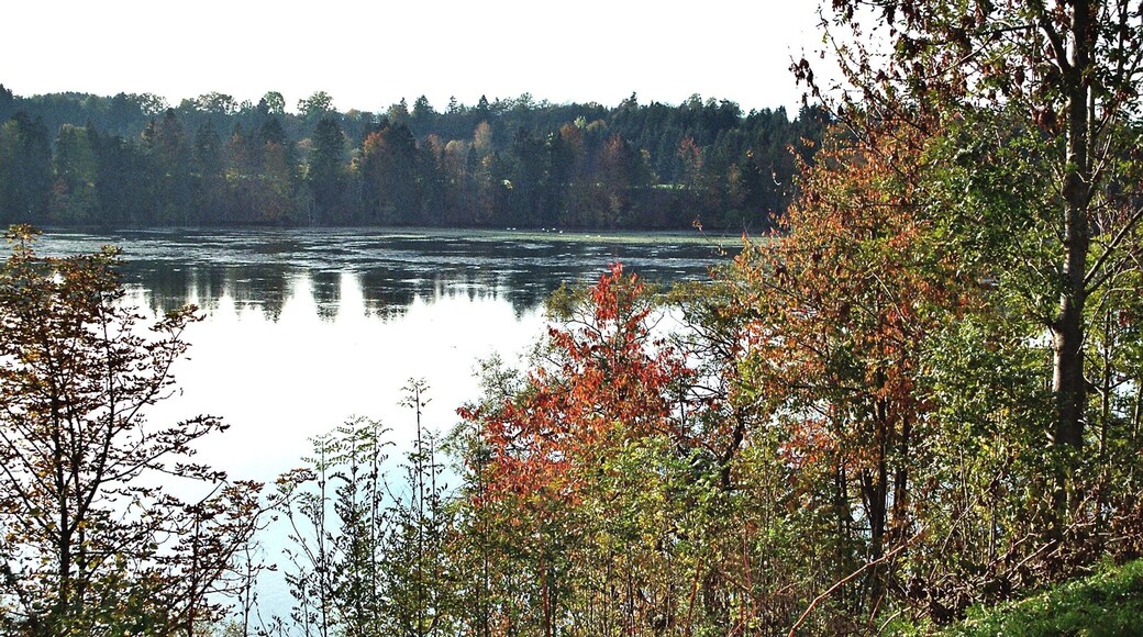 Apfeldorf, view to the Lech reservoir - barrage 9