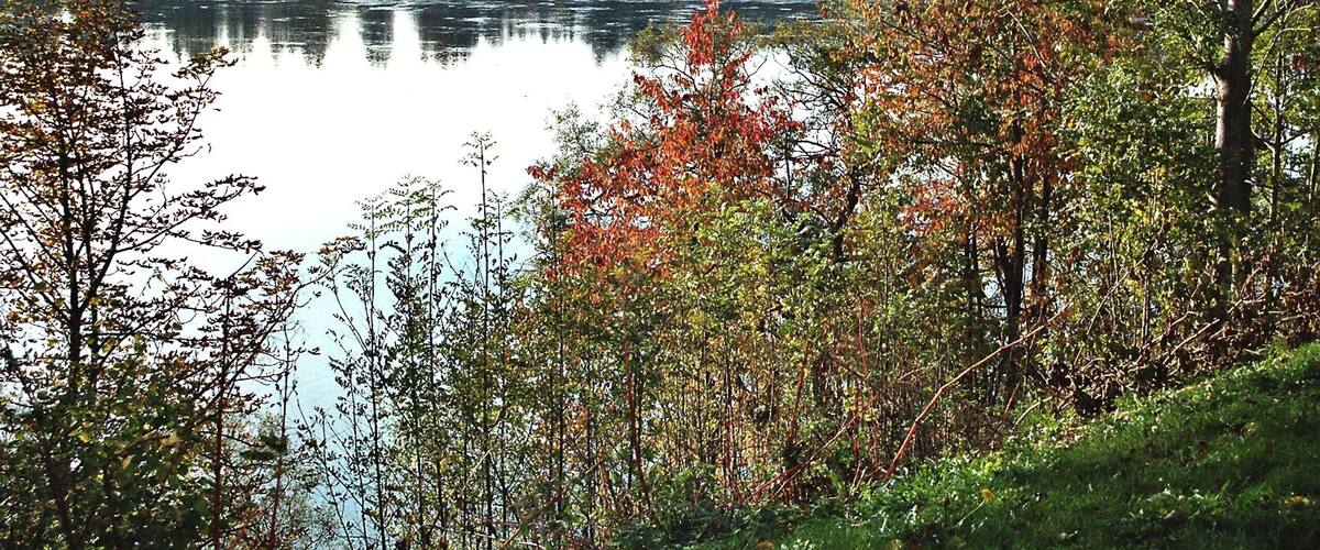 A calm lake surrounded by trees with autumn foliage.