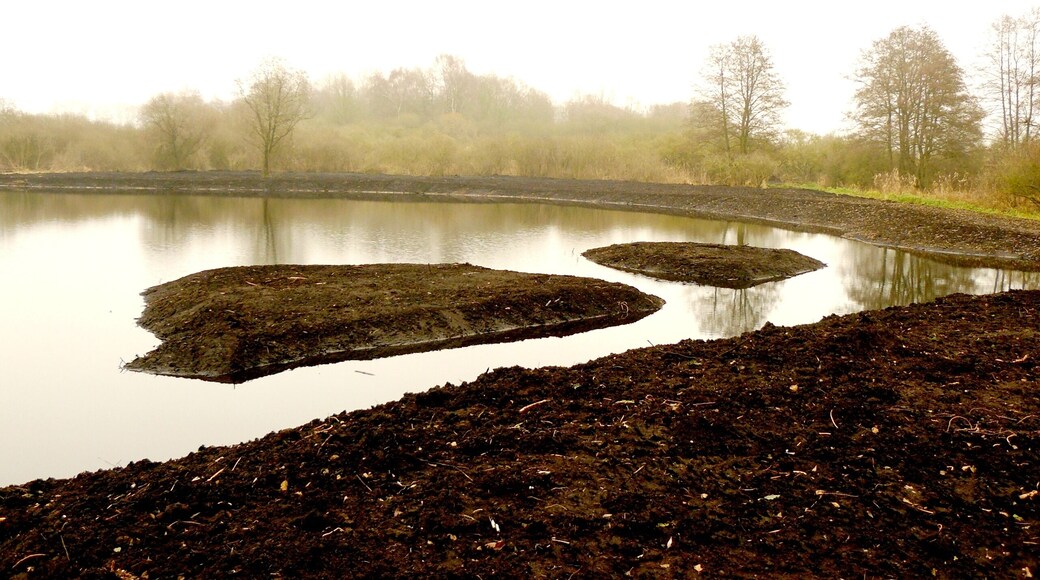 Neuer Torfstich in Schmarsow