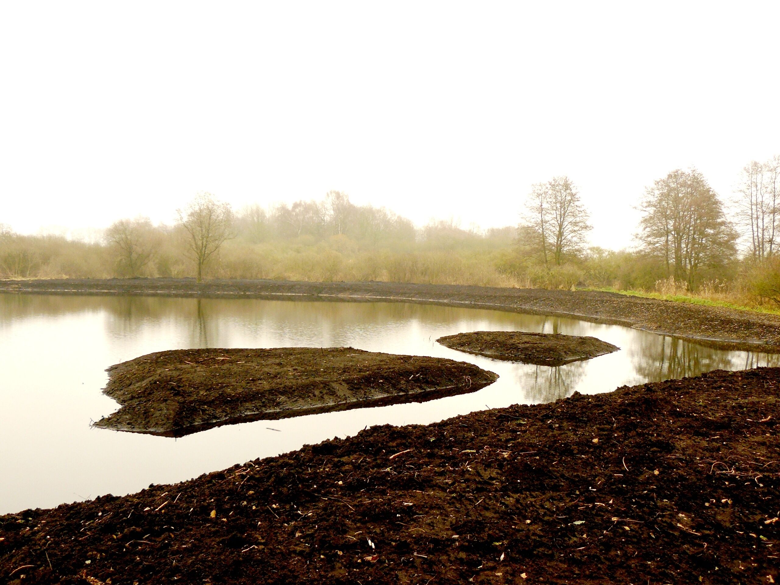 A calm lake with muddy patches and a forested background.
