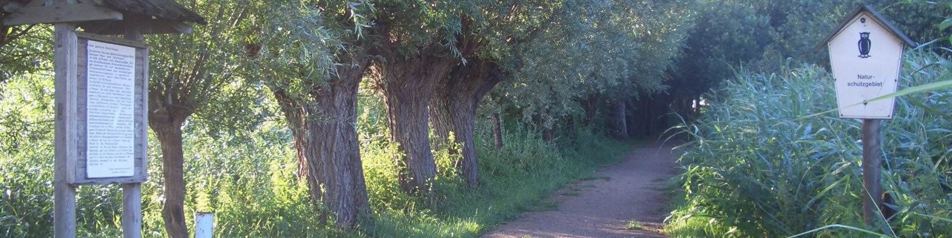 Naturschutzgebiet Gutower Moor und Schöninsel bei GĂŒstrow. Bei Gutow.