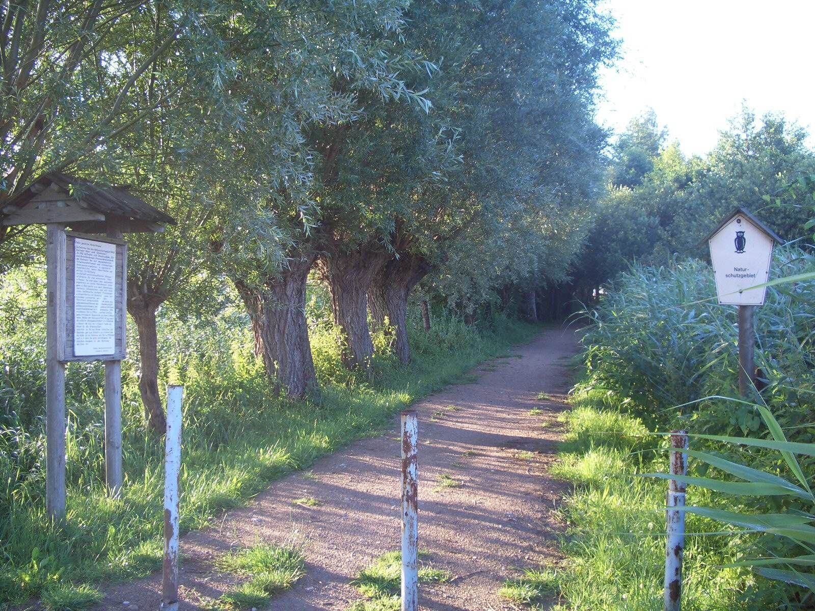 A dirt path flanked by trees and signs, leading into a wooded area.