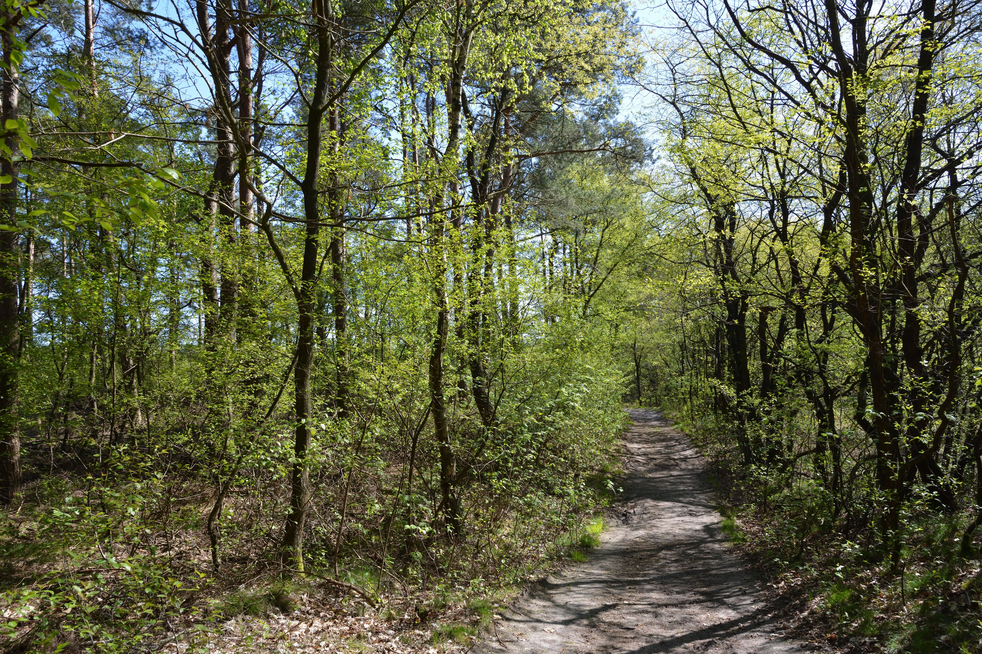 This is a picture of the protected area listed at WDPA under the ID