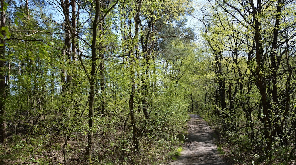 This is a picture of the protected area listed at WDPA under the ID