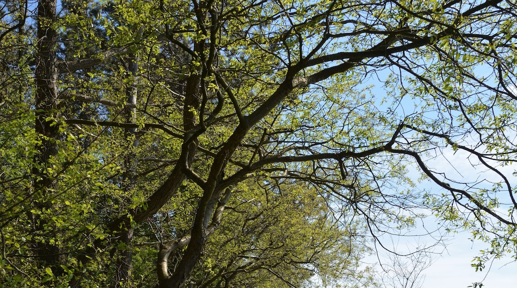 This is a picture of the protected area listed at WDPA under the ID