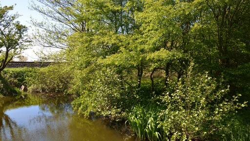 This is a picture of the protected area listed at WDPA under the ID