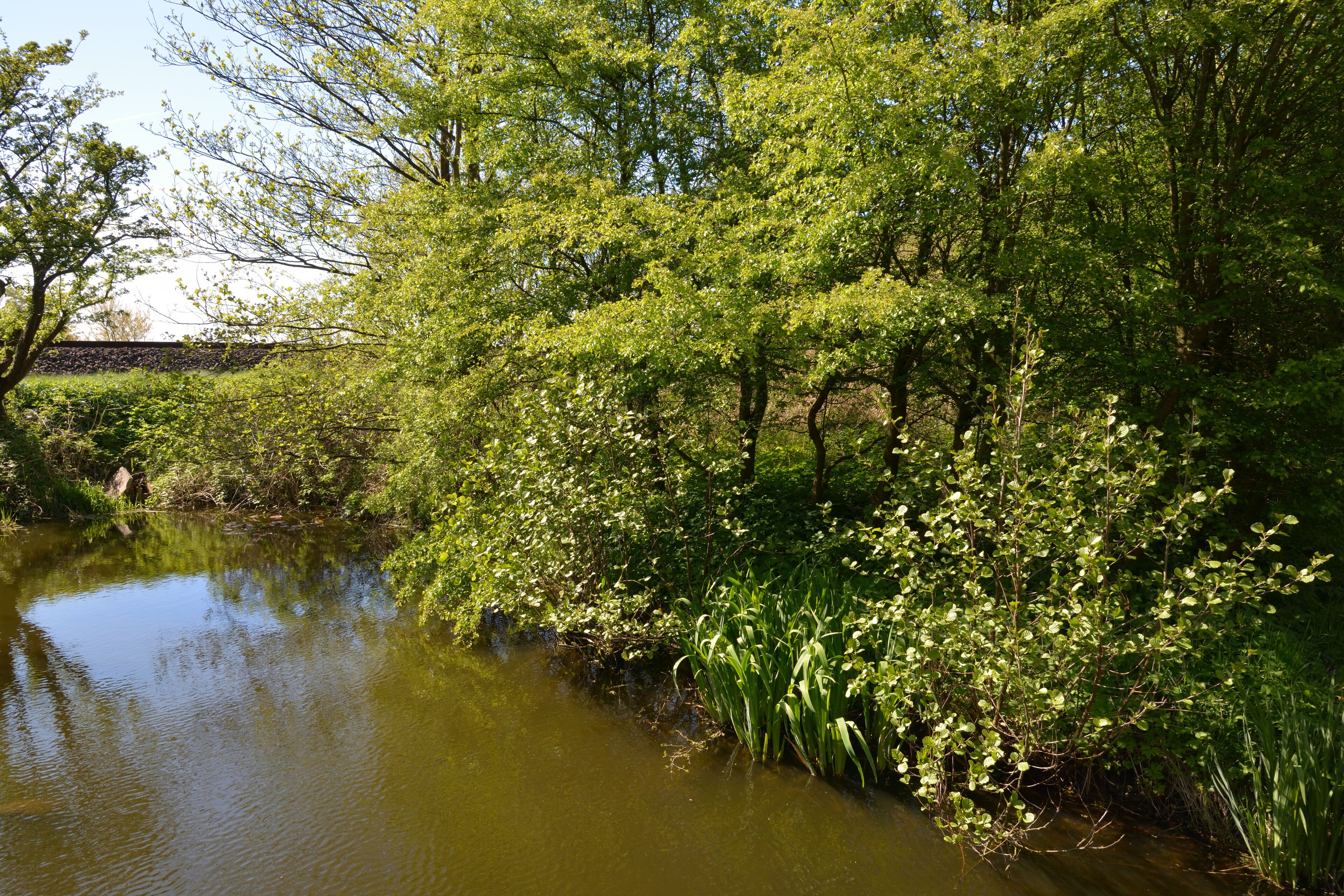 A calm river with dense greenery and trees along the banks.