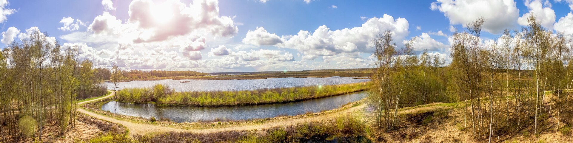 Un paisaje con un río sinuoso, rodeado de árboles y campos abiertos.