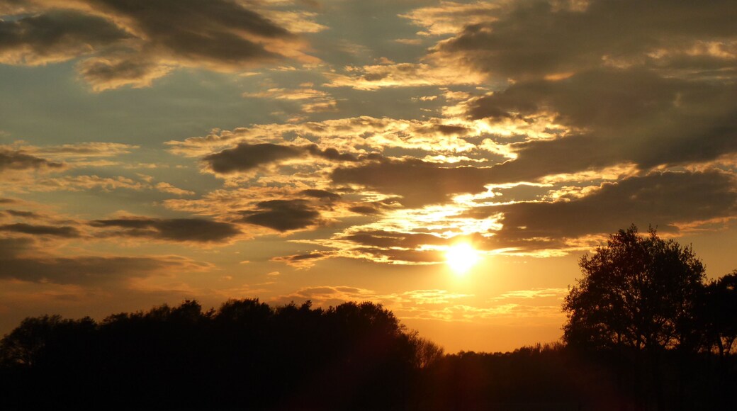 Rain clouds above the "Freistätter-Moor" - detail (the southern part of the "Wietingsmoor"); aside B214 at the eastern border of Freistatt; in Lower Saxony, Germany; 11.05.2017; 19:38; Image-ID: p1180524;