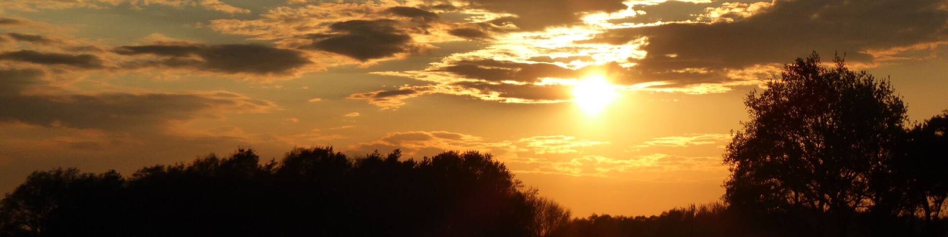 Rain clouds above the "Freistätter-Moor" - detail (the southern part of the "Wietingsmoor"); aside B214 at the eastern border of Freistatt; in Lower Saxony, Germany; 11.05.2017; 19:38; Image-ID: p1180524;
