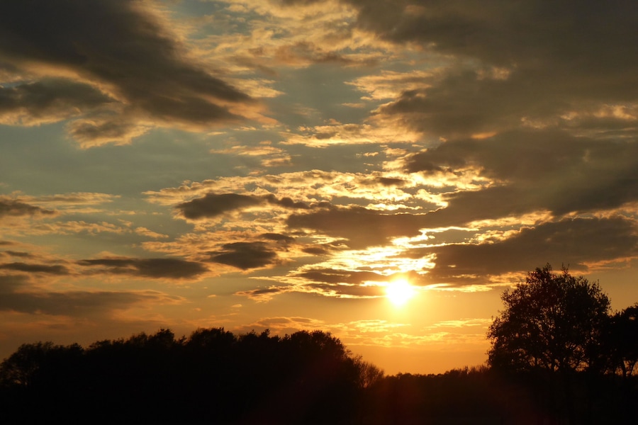 A sunset with the sun partially obscured by clouds, silhouetting trees in the foreground.