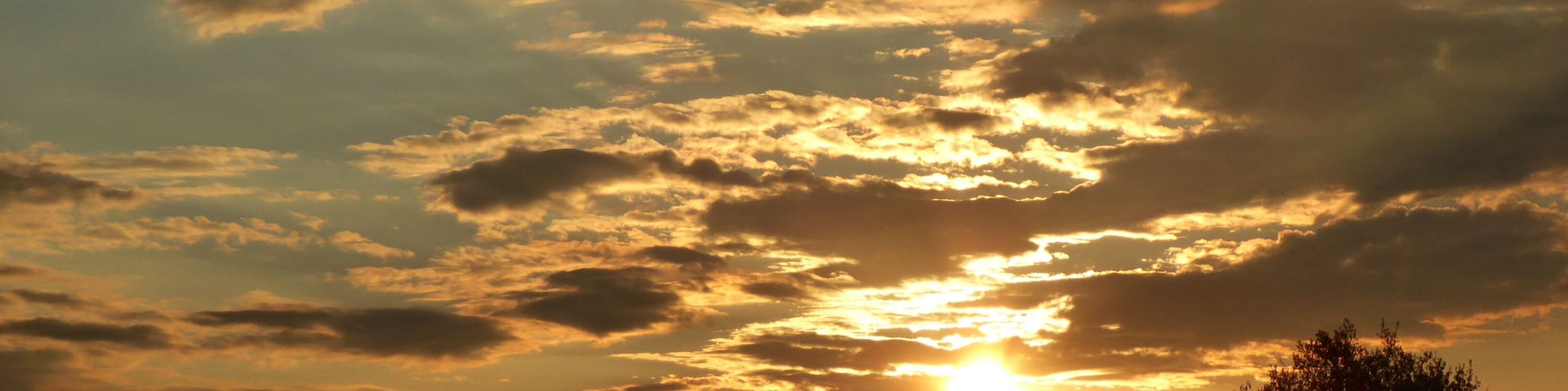 Rain clouds above the "Freistätter-Moor" - detail (the southern part of the "Wietingsmoor"); aside B214 at the eastern border of Freistatt; in Lower Saxony, Germany; 11.05.2017; 19:38; Image-ID: p1180524;