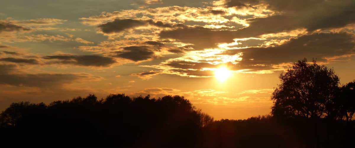 A sunset with the sun partially obscured by clouds, silhouetting trees in the foreground.