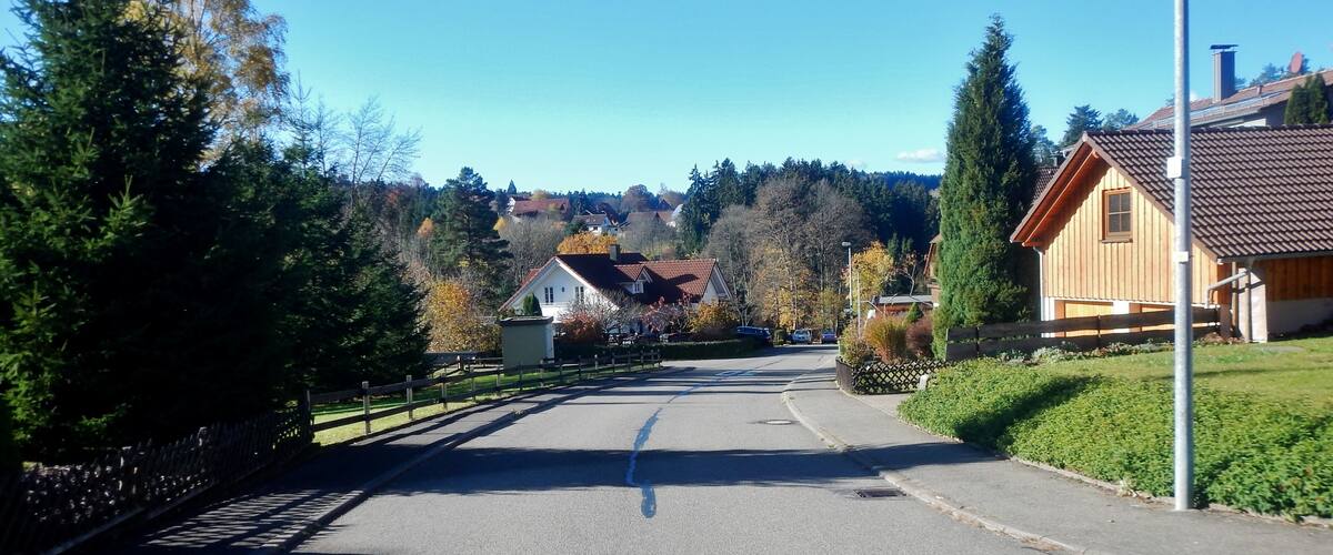 A quiet residential street with houses, a wooden fence, and trees.