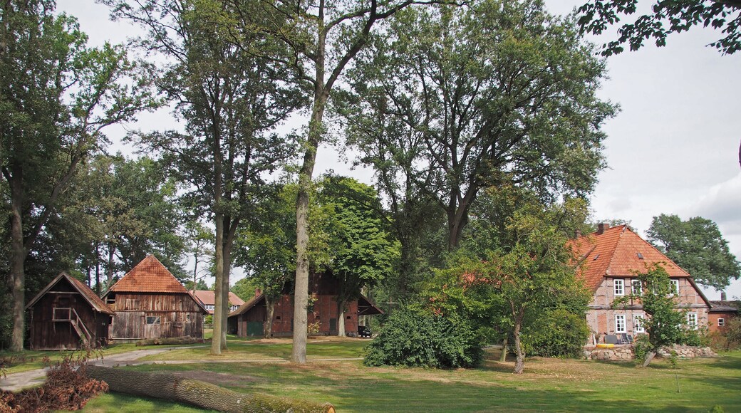 Bauernhof in Bonstorf/Hetendorf, Gemeinde Hermannsburg, Niedersachsen
