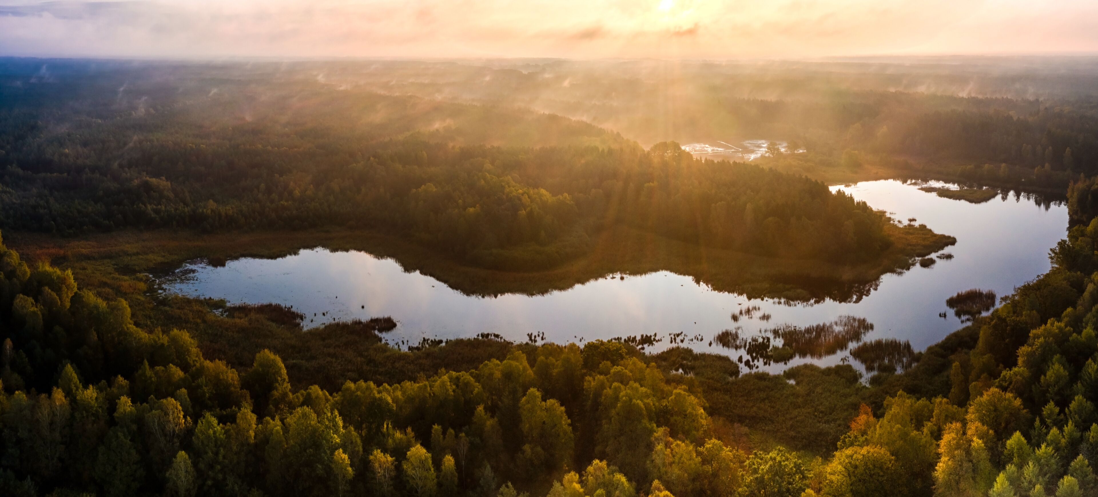 A serene landscape with a lake surrounded by dense forest and hills.
