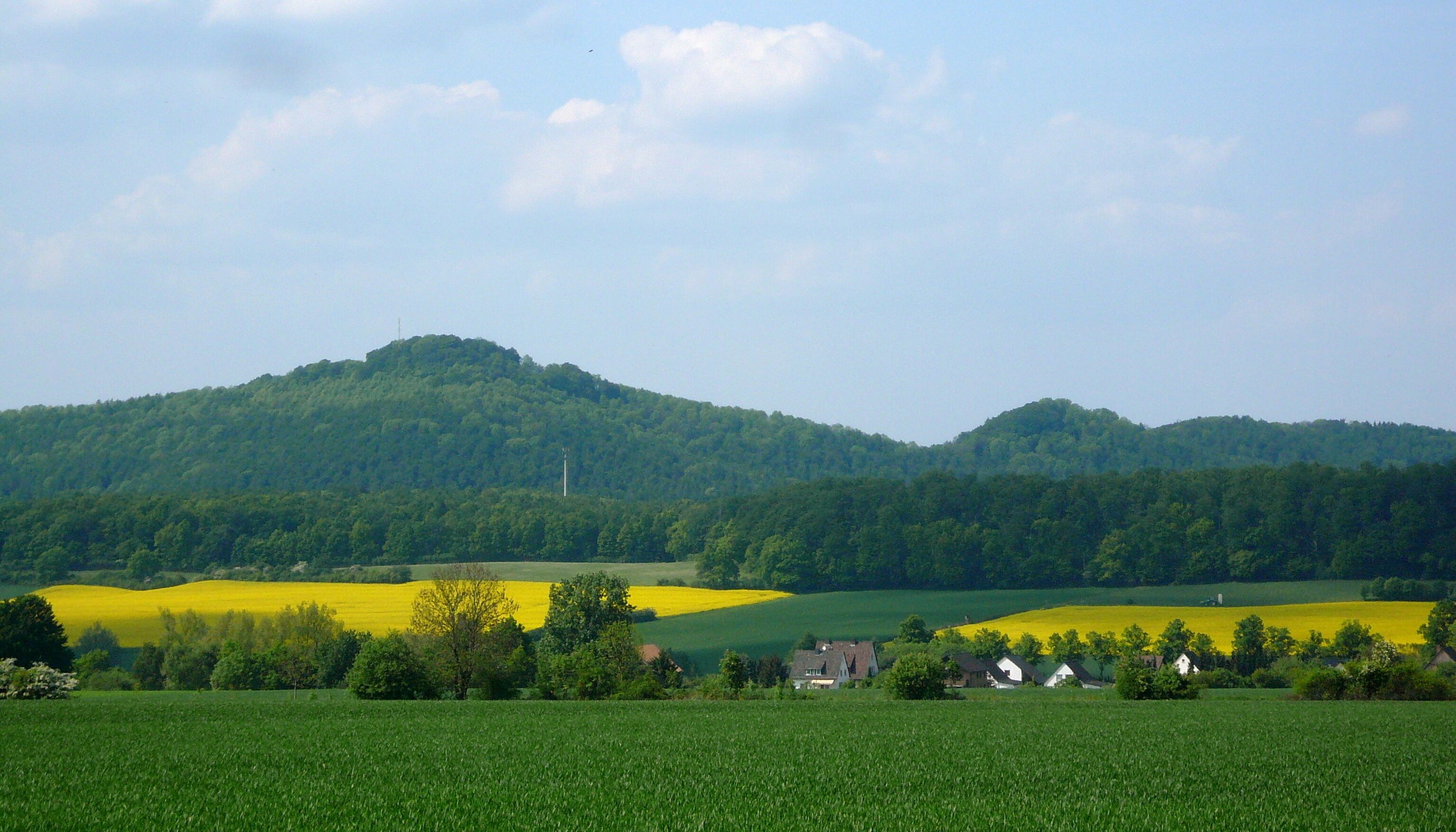 A rural landscape with rolling hills, fields of yellow flowers, and a small cluster of houses.