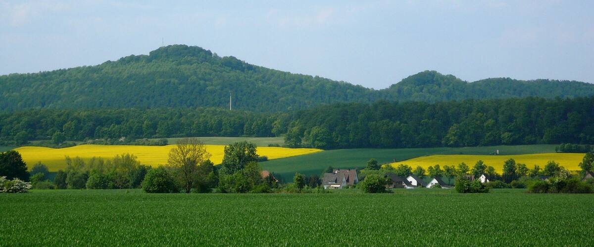A rural landscape with rolling hills, fields of yellow flowers, and a small cluster of houses.