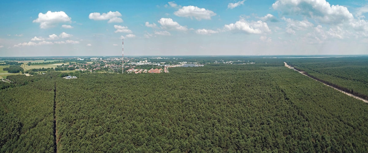 A dense forest with a clear sky and scattered clouds.