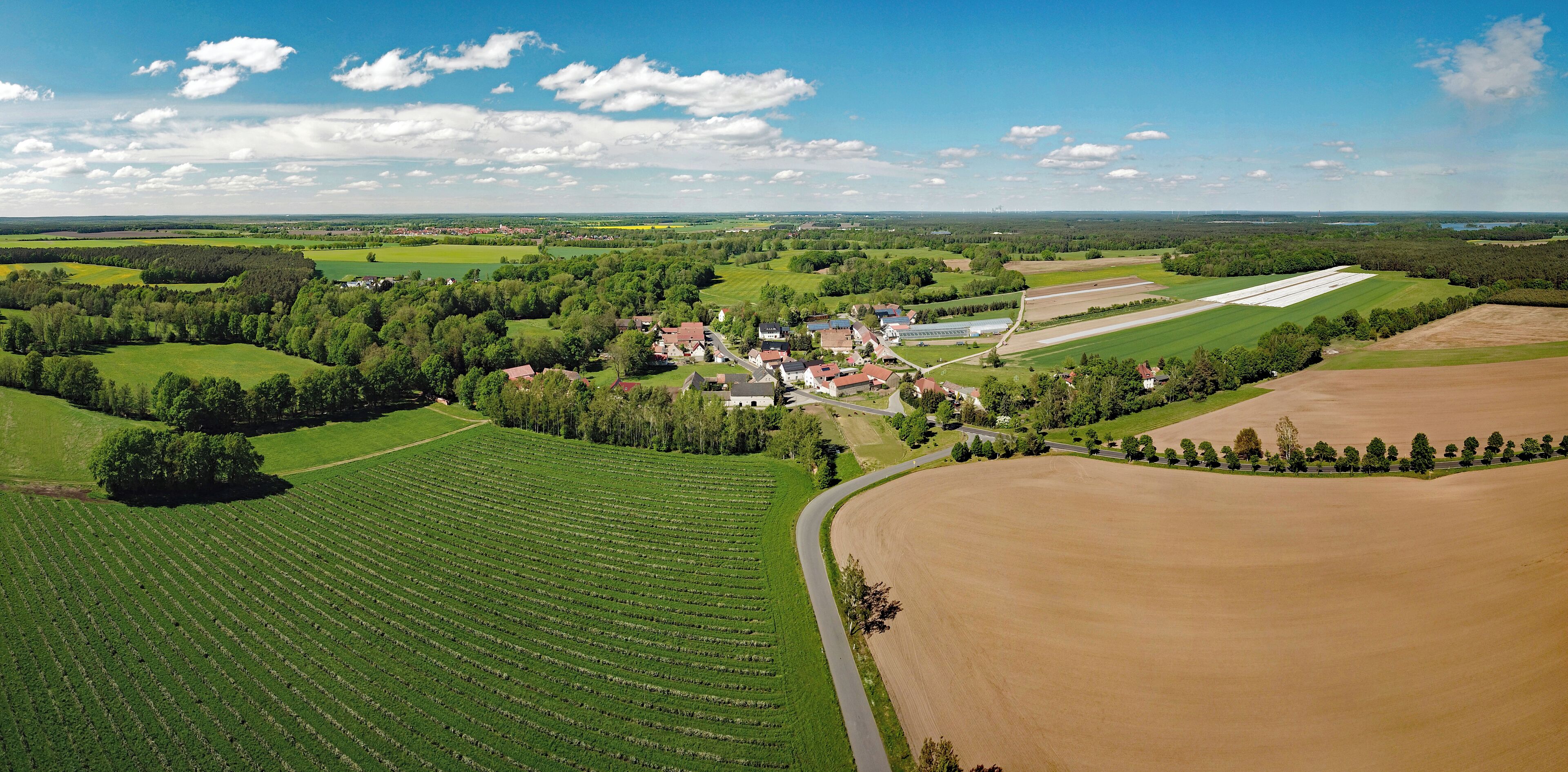 Hoske (Wittichenau, Saxony, Germany)