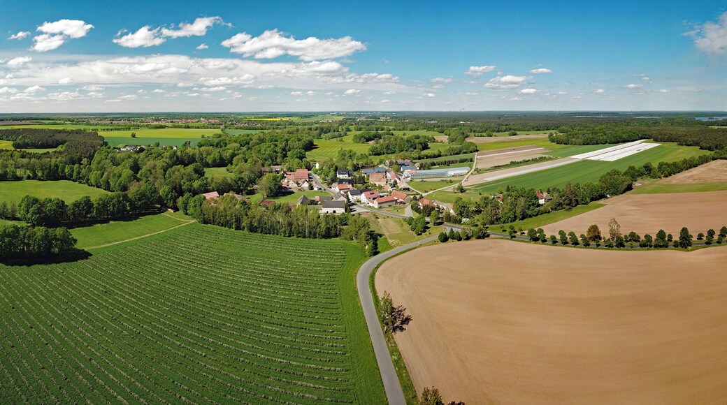 Hoske (Wittichenau, Saxony, Germany)