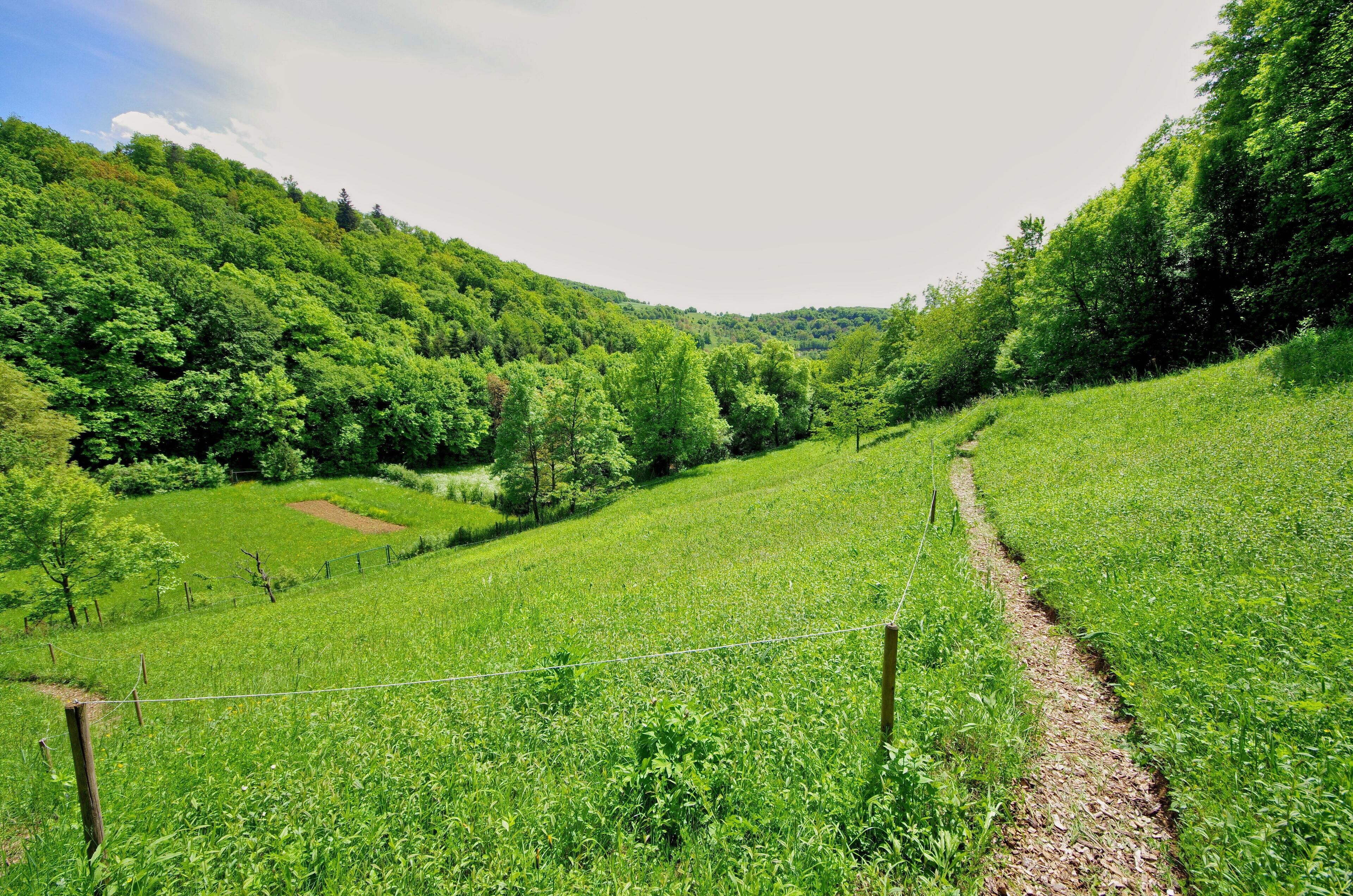 Sumser Garten im Jennetal