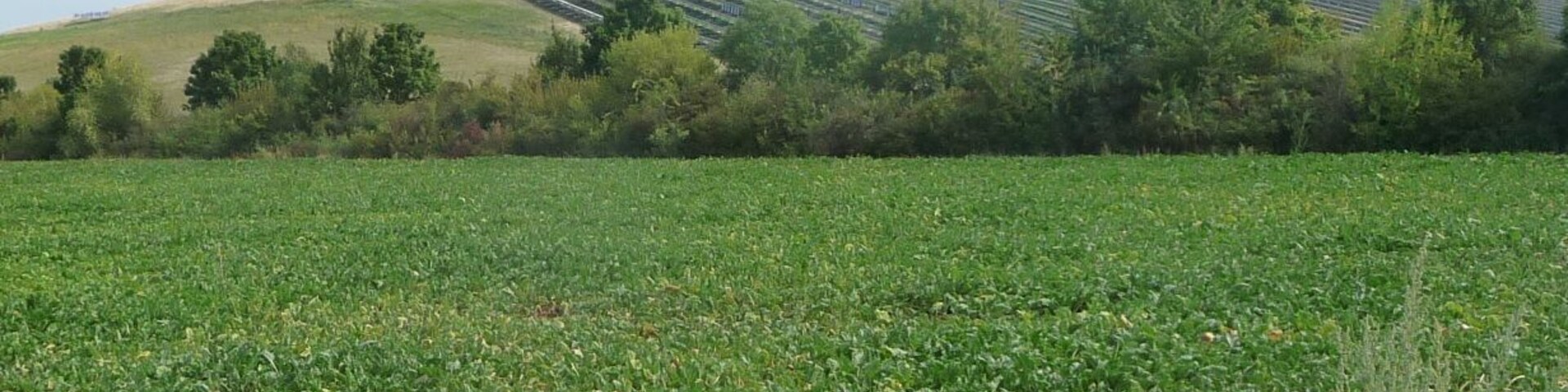 MĂŒllberg der Firma SĂŒd-MĂŒll