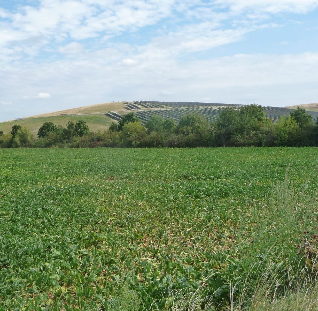 A green field with a distant solar farm and rolling hills.