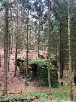 Ein gigantischer Eiszeitstein liegt seit 200.000 Jahren hier im Wald. Zu beachten rechts unten der Labrador, um eine Größenvorstellung zu erhalten. Der Wald um Ruttersdorf lädt zu fantastischen Wanderungen rund um die Seen und über den Wäldern gelegenen Wiesen ein.
A gigantic ice age stone has been here in the forest for 200,000 years. Note the Labrador right below to get a size idea. The forest around Ruttersdorf invites you to fantastic walks around the lakes and meadows above the woods.