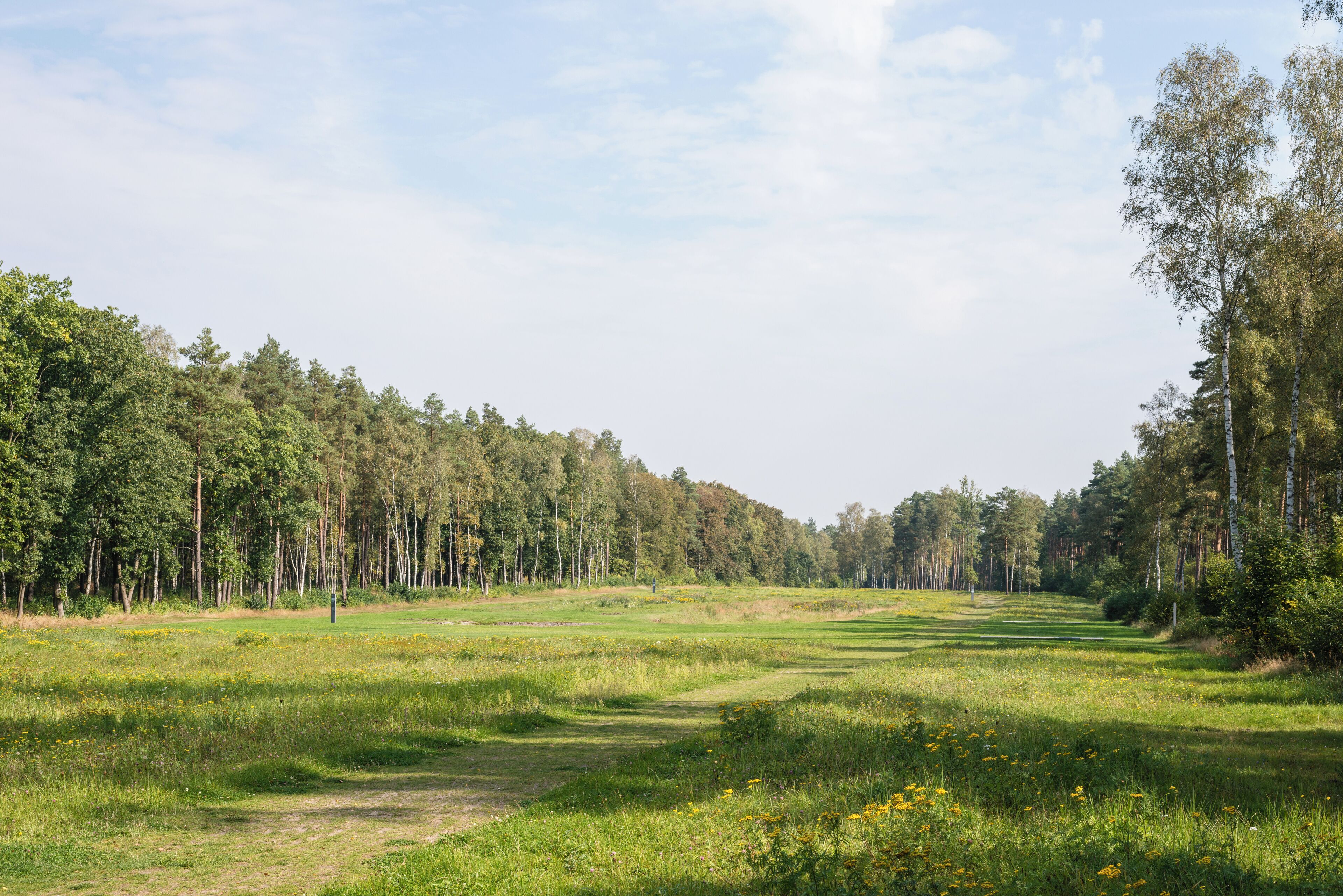 The former camp's main street, Bergen-Belsen concentration camp memorial.