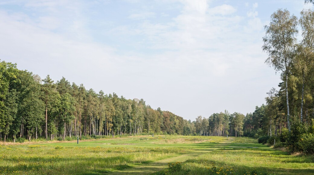 The former camp's main street, Bergen-Belsen concentration camp memorial.