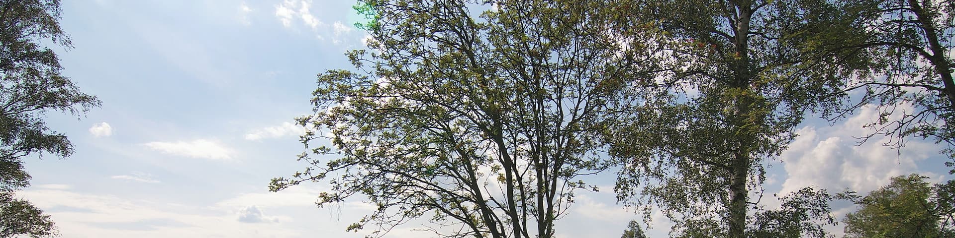 Die Gedenkstätte an das KZ Bergen-Belsen liegt an der Straße zwischen Bergen, Belsen und Winsen/Aller, wo das nationalsozialistische Konzentrationslager Bergen-Belsen bestanden hat.