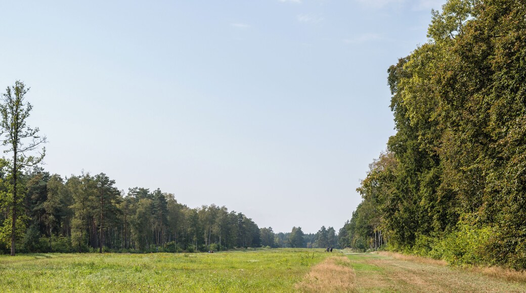 The former camp's main street, Bergen-Belsen concentration camp memorial.