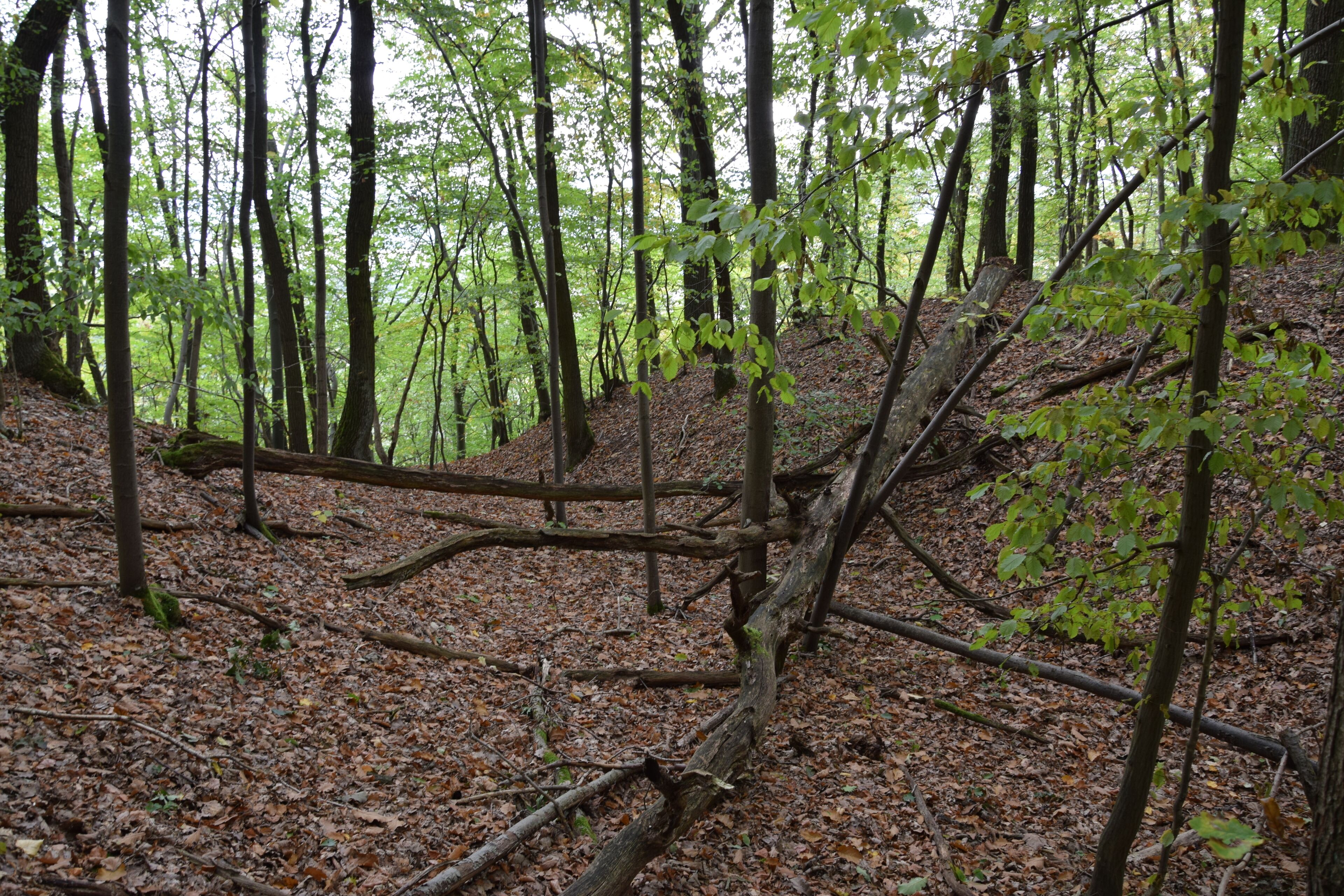 Alter Stolberg – Karstwanderweg, Graben eines Burgstalls