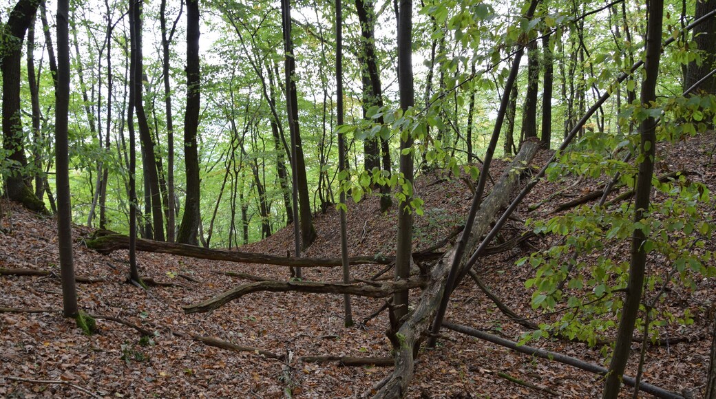Alter Stolberg – Karstwanderweg, Graben eines Burgstalls