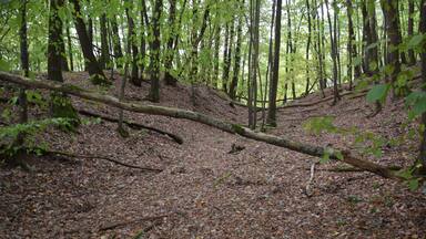Alter Stolberg – Karstwanderweg, Graben eines Burgstalls
