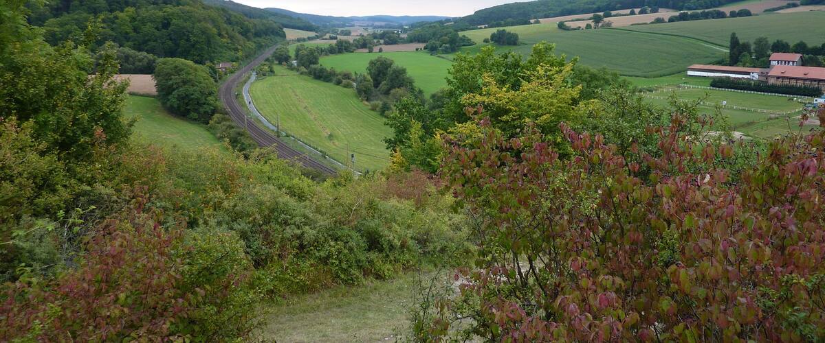 A winding road through a valley with green fields and hills in the background.