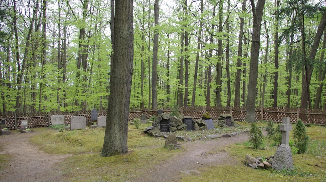 Siehdichum in Brandenburg. Der Försterfriedhof wurde für die Förster von Siehdichum angelegt. Zum Friedhof gehört auch ein Denkmal für die Gefallenen des Ersten Weltkrieges.