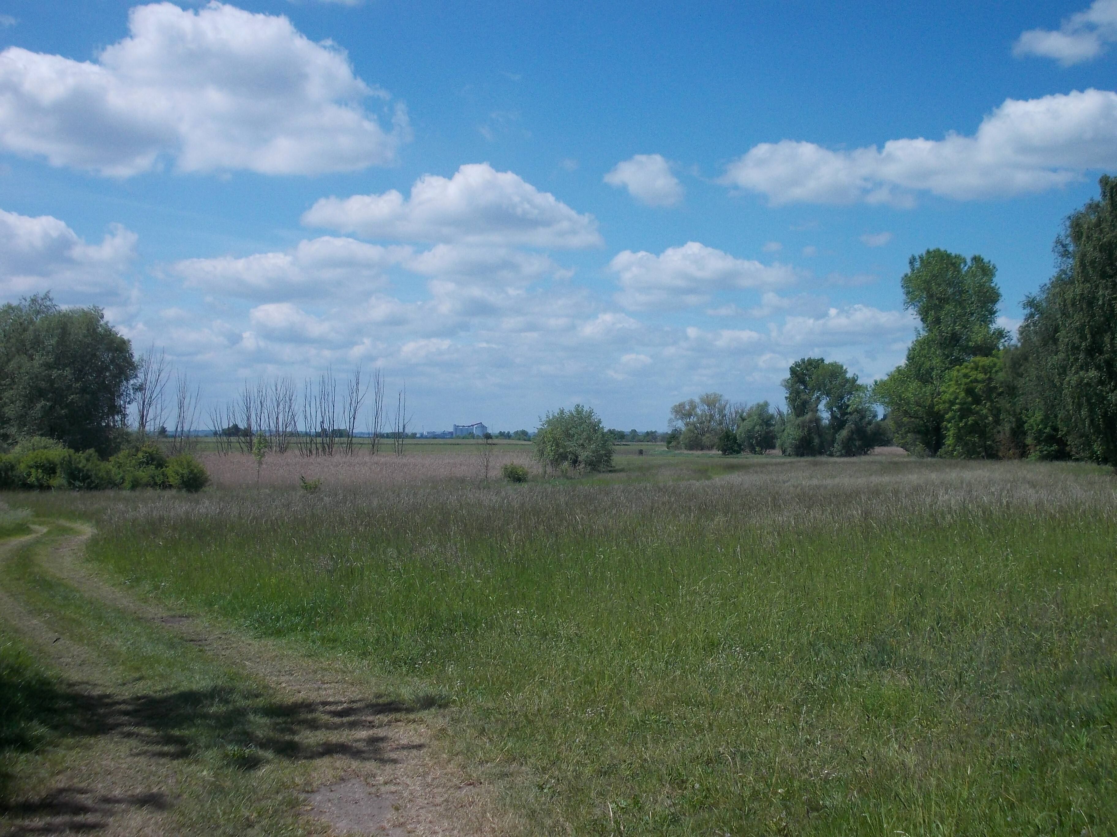Landscape north of Gerlebogk (Könnern, district: Salzlandkreis, Saxony-Anhalt)