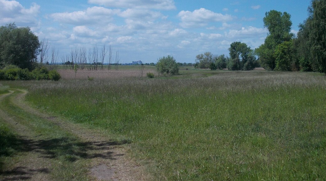 Landscape north of Gerlebogk (Könnern, district: Salzlandkreis, Saxony-Anhalt)