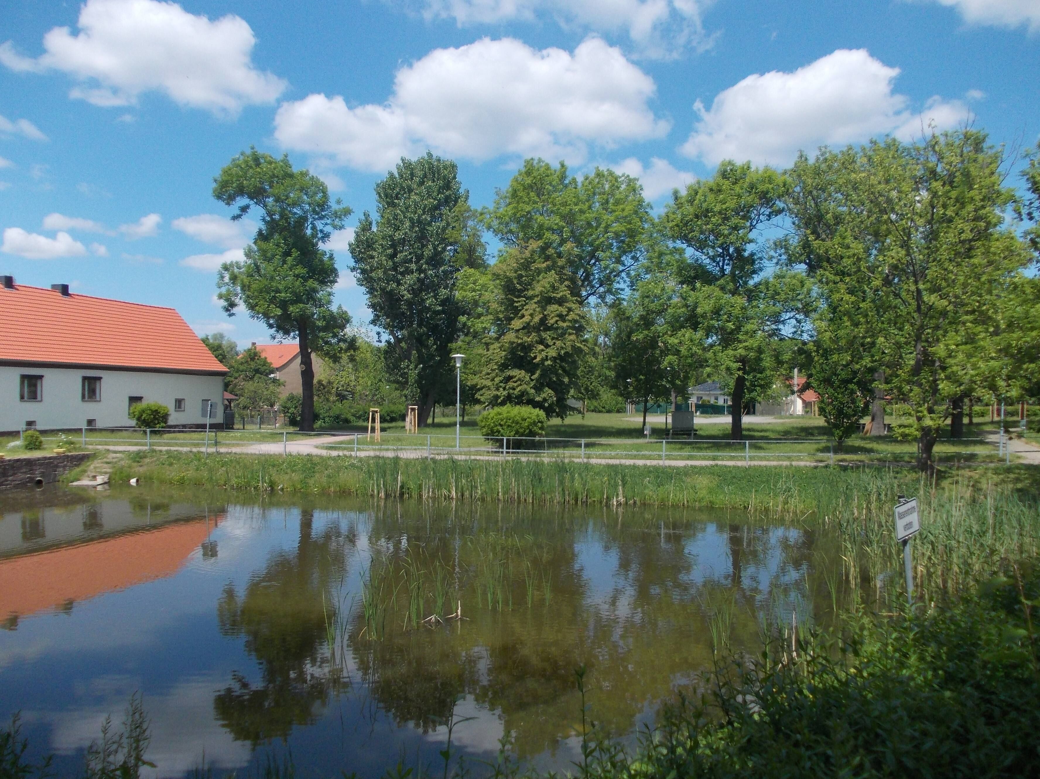 Village pond in Gerlebogk (Könnern, district: Salzlandkreis, Saxony-Anhalt)