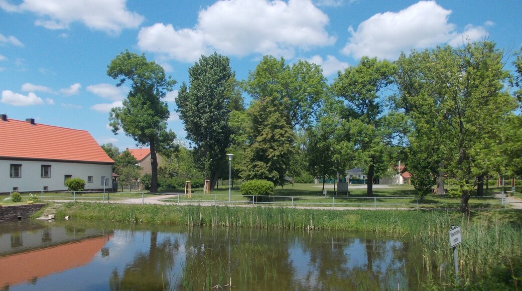 Village pond in Gerlebogk (Könnern, district: Salzlandkreis, Saxony-Anhalt)