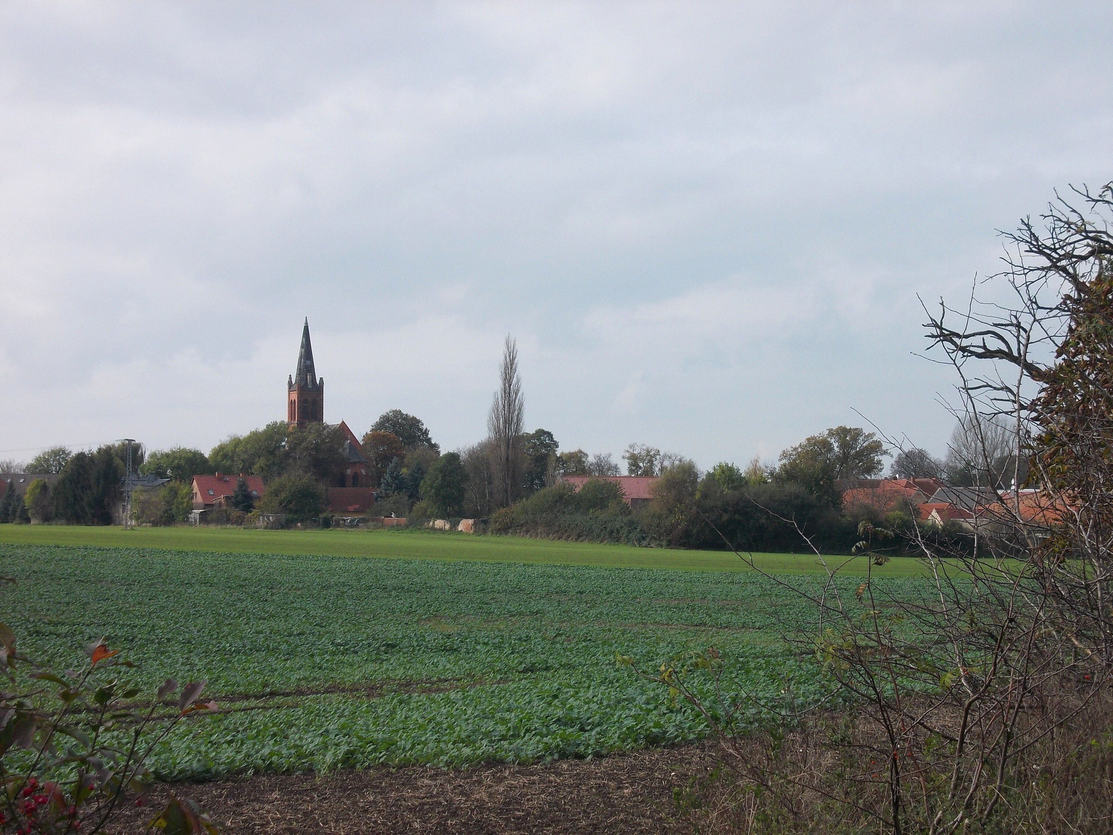 Thurau (Osternienburger Land, Anhalt-Bitterfeld district, Saxony-anhalt) from the east